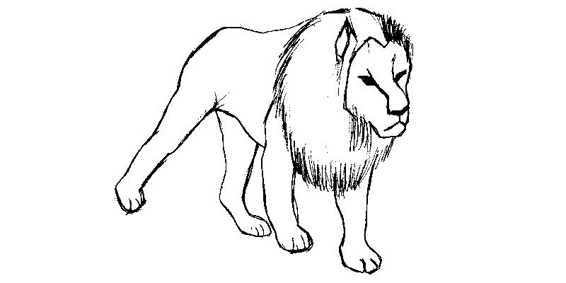 Dekorativ bild - lejon